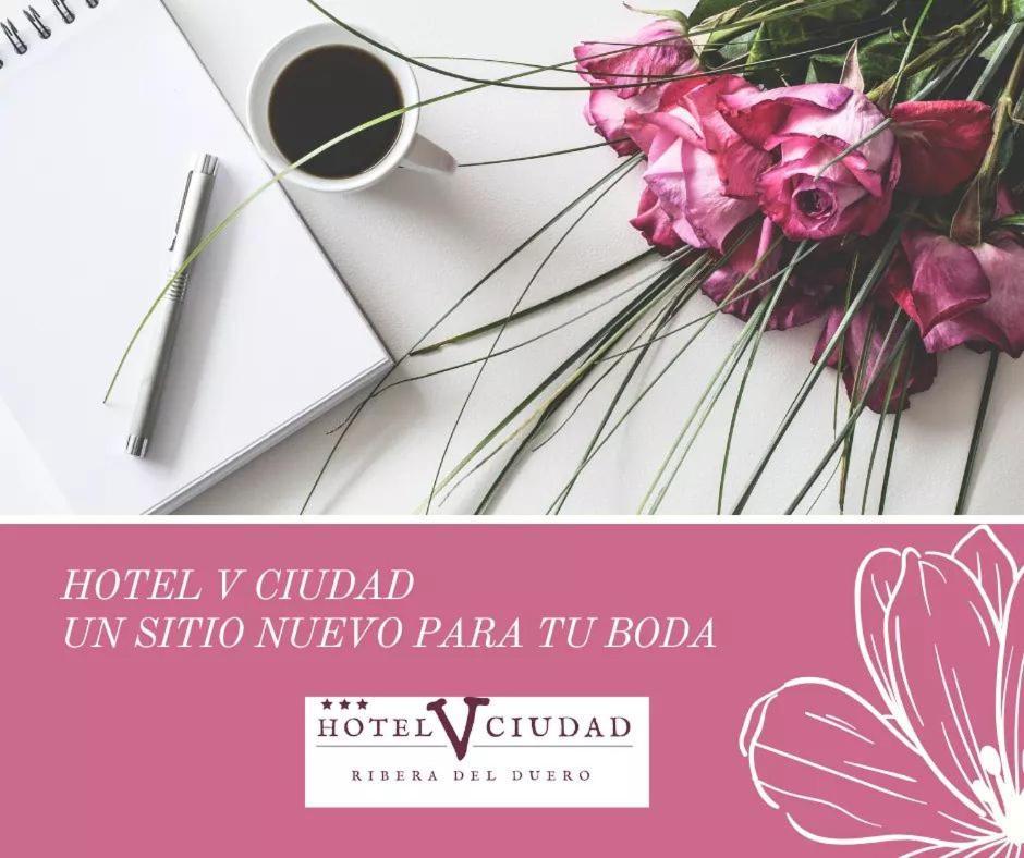 Hotel V.Ciudad Aranda de Duero Zewnętrze zdjęcie